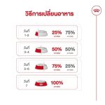 Royal Canin Mini Indoor Adult 3kg อาหารสุนัขโตพันธุ์เล็ก เลี้ยงในบ้าน (โรยัล คานิน) - Image 7