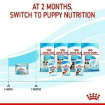 Royal Canin Starter Mousse (โรยัล คานิน) อาหารเปียกแบบมูส สำหรับแม่สุนัขและลูกสุนัข - Image 2