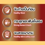 Bingostar Yummy Stick (500 กรัม) ขนมสุนัข ขนมหมา แบบแท่ง [เลือกรสได้] บำรุงขน เสริมกระดูก - Image 2