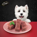 Cesar (ซีซาร์) อาหารเปียกสุนัข แบบถาด 100g (1 ถาด) อาหารหมา เกรดพรีเมียม นำเข้าจากออสเตรเลีย มีหลายรส - Image 2