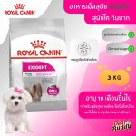 Royal Canin Mini Exigent 3 kg โรยัล คานิน อาหารเม็ด สุนัขพันธุ์เล็ก อายุ 10 เดือนขึ้นไป สูตรสำหรับสุนัขกินยาก ช่างเลือก
