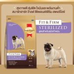 อาหารสุนัข Smartheart Gold น้ำหนัก 3 กิโลกรัม สูตร STERILIZED สุนัขพันธุ์เล็ก ทำหมัน - Image 3