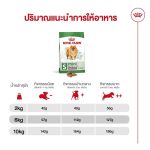Royal Canin Mini Indoor Adult 3kg อาหารสุนัขโตพันธุ์เล็ก เลี้ยงในบ้าน (โรยัล คานิน) - Image 5