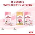 Royal Canin Mother & Babycat Mousse กระป๋อง 195 กรัม (โรยัล คานิน) อาหารเปียกเนื้อมูส สำหรับแม่แมว (ตั้งท้อง-ให้นม) - Image 9