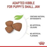 Royal Canin Mini Indoor Puppy 1.5kg อาหารลูกสุนัข พันธุ์เล็ก เลี้ยงในบ้าน ย่อยง่าย ลดกลิ่นมูล (โรยัล คานิน) - Image 2