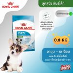 Royal Canin Mini Puppy 800g อาหารเม็ดลูกสุนัข พันธุ์เล็ก 2-10 เดือน (โรยัล คานิน)