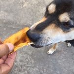 ขนมสุนัข Dear Buddy หูวัวธรรมชาติ 100 กรัม ขนมขัดฟันสุนัข ขัดฟันน้องมา ขนมหมา - Image 7