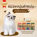 อาหารแมว สมาร์ทฮาร์ท โกลด์ SmartHeart Gold 1 KG. ถุงสวยและถุงแบ่ง Premium Cat Food - Image 8