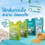 Pramy ทรายแมวเต้าหู้ 6L ทรายเต้าหู้ธรรมชาติ ไร้ฝุ่น จับตัวเป็นก้อนเร็ว ทิ้งชักโครกได้ ยกกระสอบ - Image 5