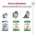 Royal Canin Mini Indoor Adult 3kg อาหารสุนัขโตพันธุ์เล็ก เลี้ยงในบ้าน (โรยัล คานิน) - Image 6