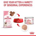 Royal Canin Mother & Babycat Mousse กระป๋อง 195 กรัม (โรยัล คานิน) อาหารเปียกเนื้อมูส สำหรับแม่แมว (ตั้งท้อง-ให้นม) - Image 7
